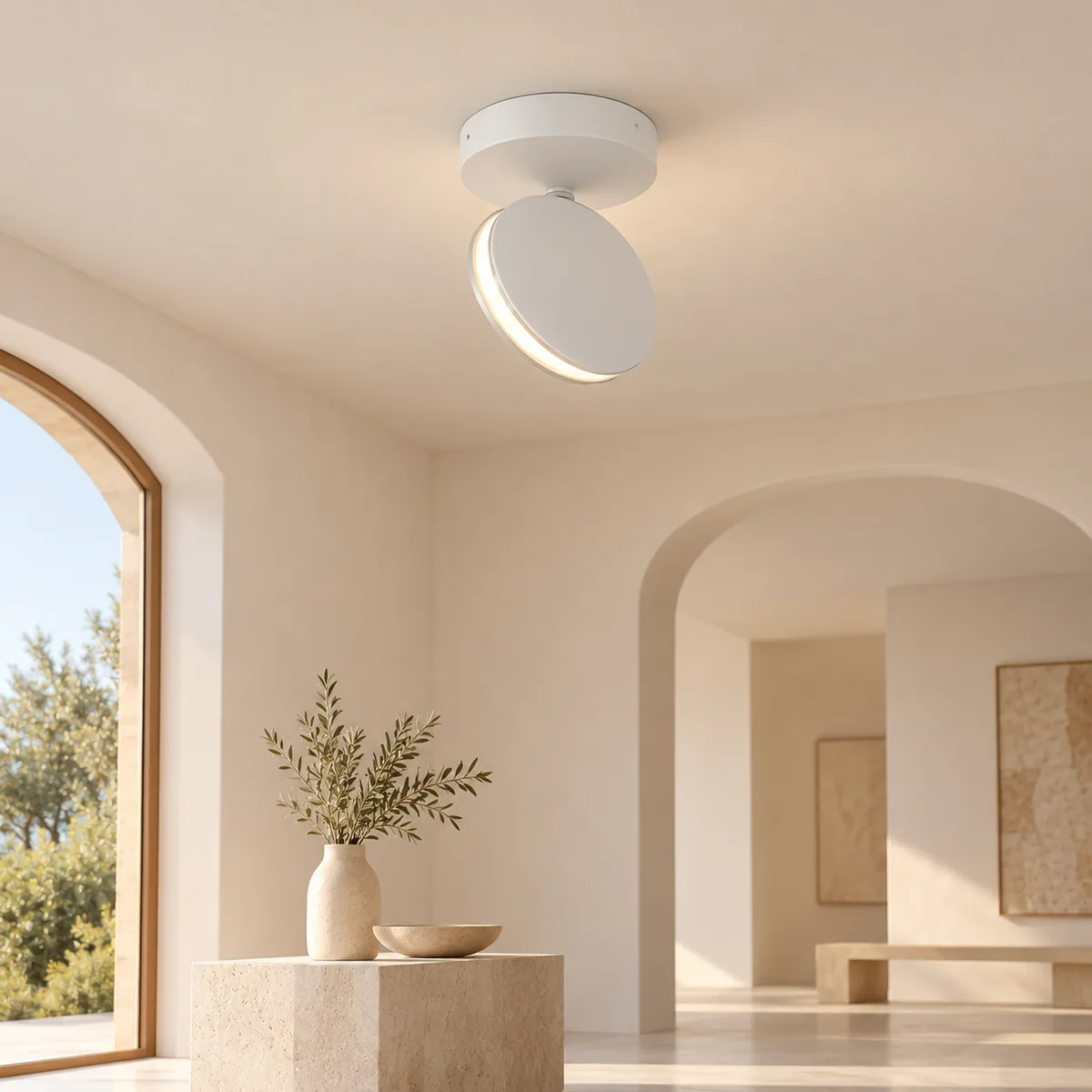 Late-Day Aim from a Metal Disc Light